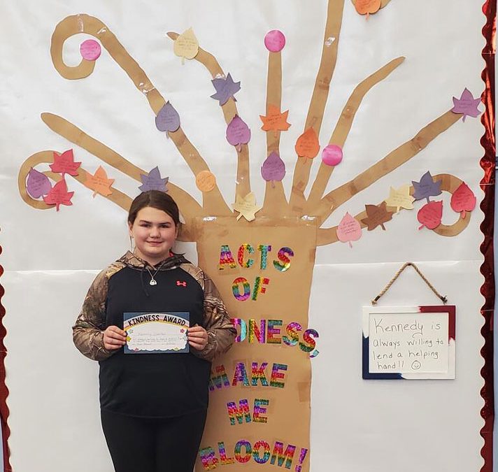 Preston School’s Kindness Tree!