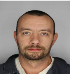 Guilty Plea in Drug and Weapon Case